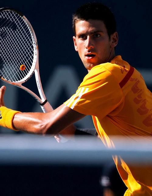 的快速成长 的快速成长