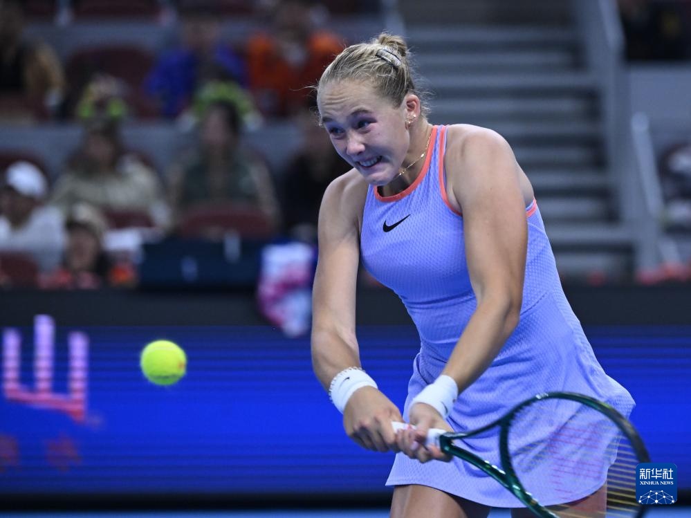 潜在的挑战 潜在的挑战