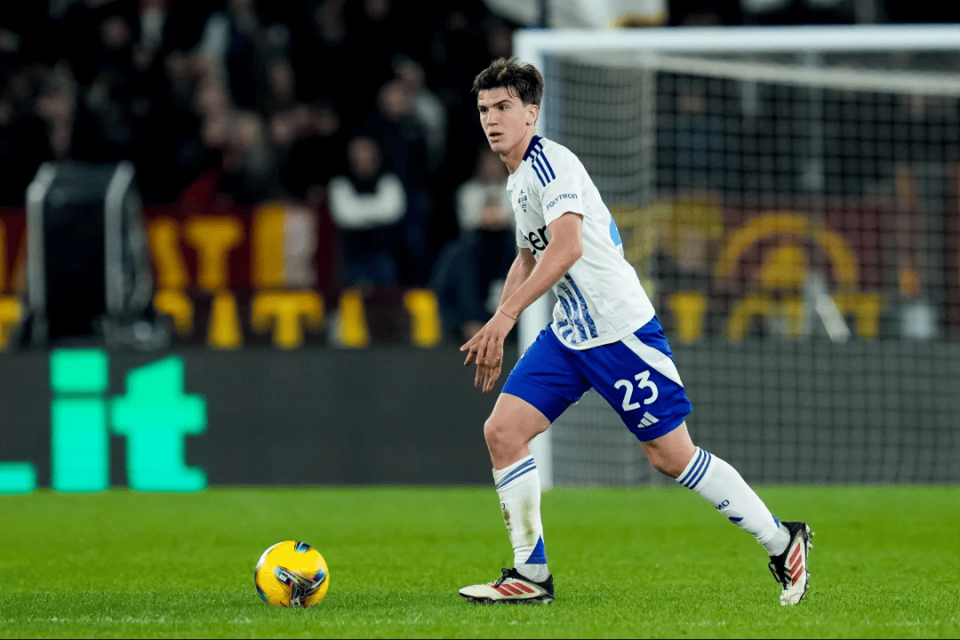 上绽放光辉 上绽放光辉